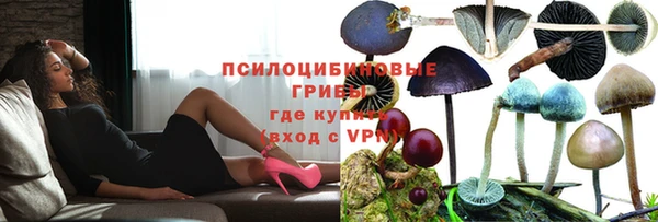 прущий лед Армянск