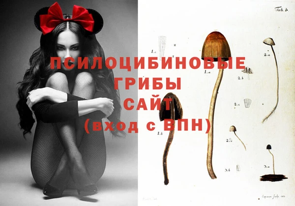 прущий лед Армянск