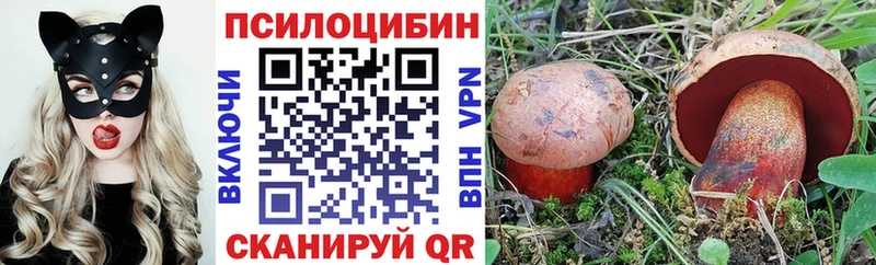 цены наркотик  Липки  мега tor  Псилоцибиновые грибы GOLDEN TEACHER 